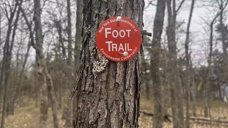 Vroman's Nose Hiking Trail - Middleburgh, NY