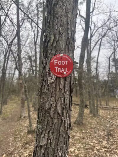 Vroman's Nose Hiking Trail - Middleburgh, NY