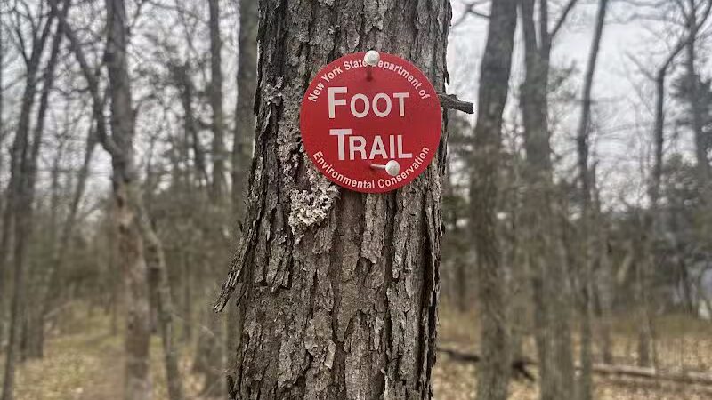 Vroman's Nose Hiking Trail - Middleburgh, NY