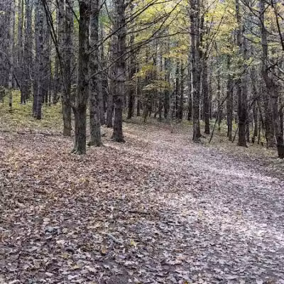 Vroman's Nose Hiking Trail - Middleburgh, NY