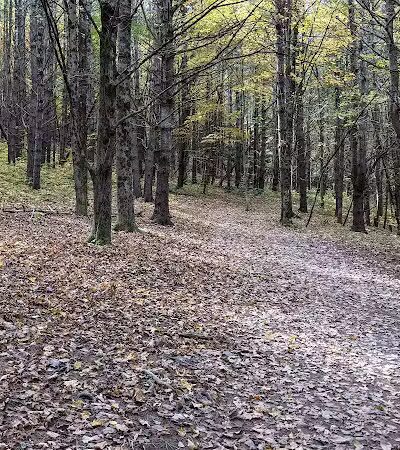 Vroman's Nose Hiking Trail - Middleburgh, NY