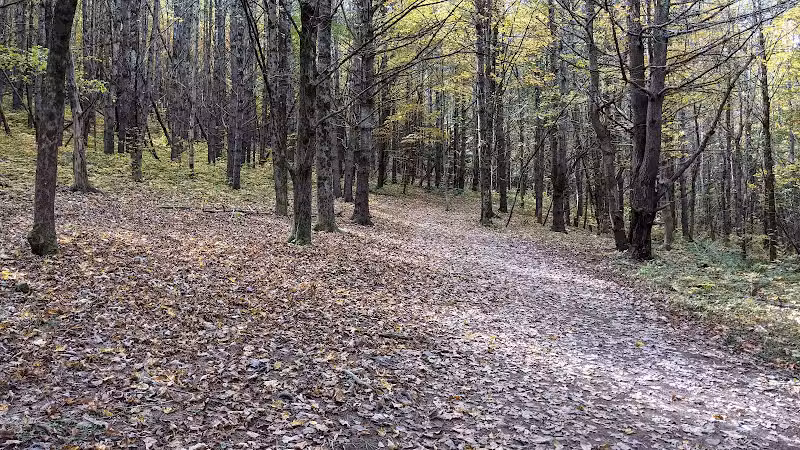 Vroman's Nose Hiking Trail - Middleburgh, NY
