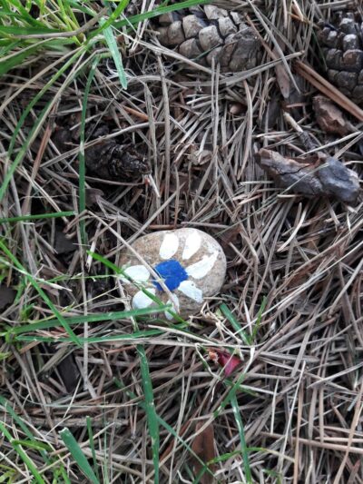 Centennial Grove Park