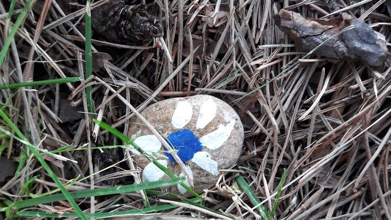 Centennial Grove Park