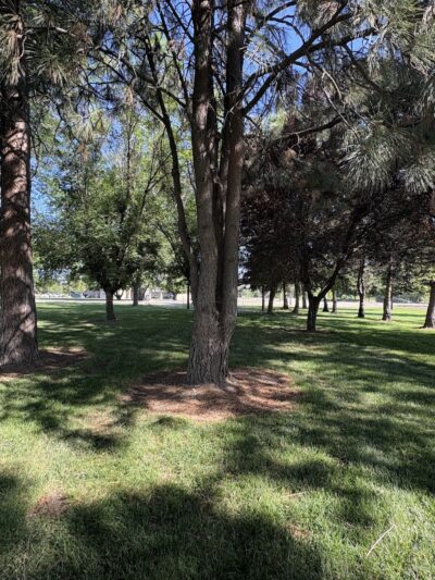 Centennial Grove Park