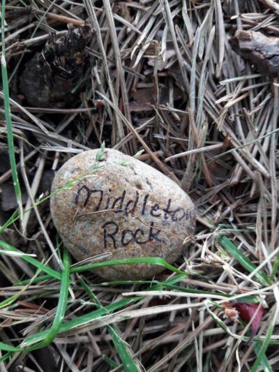 Centennial Grove Park