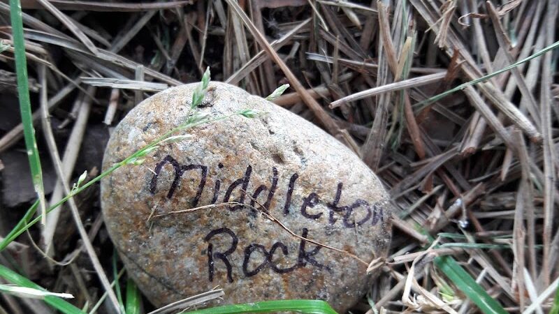 Centennial Grove Park