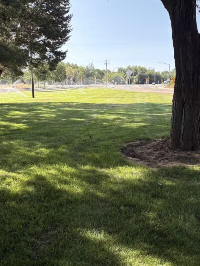 Centennial Grove Park