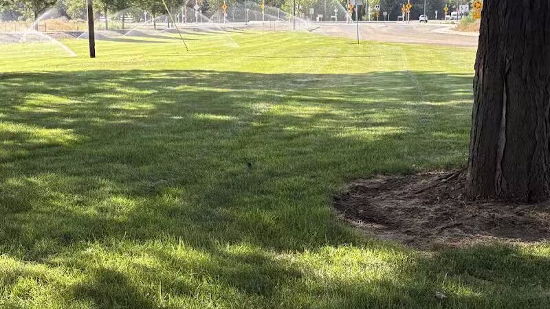 Centennial Grove Park