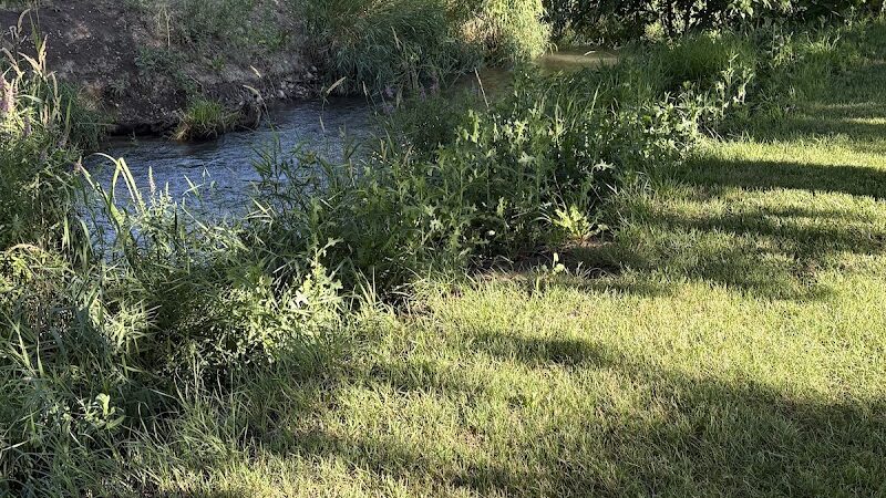 Roadside Park