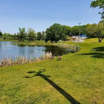 Butternut Hollow Park. - Middletown, CT