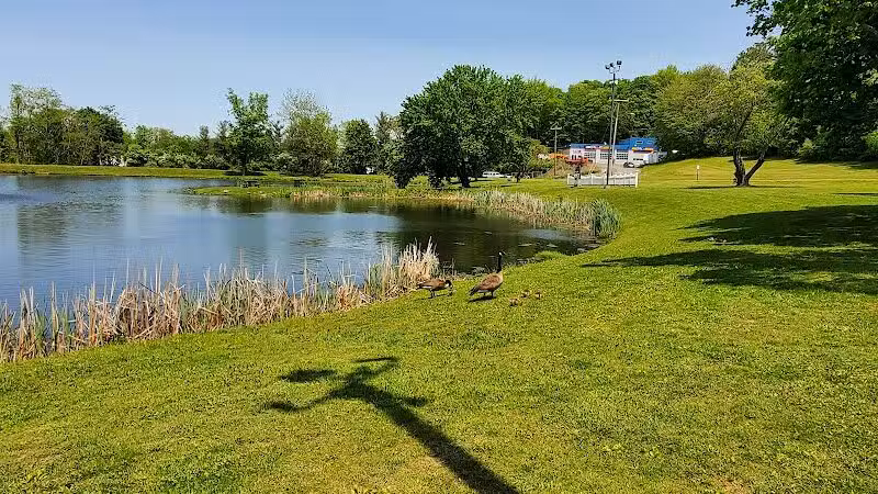 Butternut Hollow Park. - Middletown, CT
