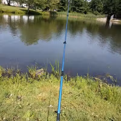 Butternut Hollow Park. - Middletown, CT