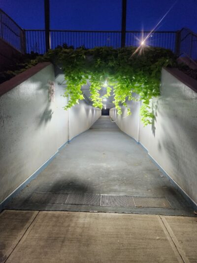 Harbor Park Walking Tunnel - Middletown, CT