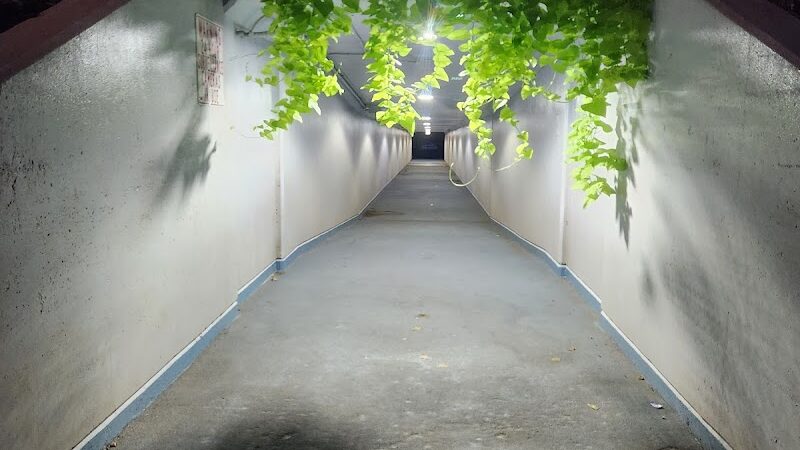 Harbor Park Walking Tunnel - Middletown, CT