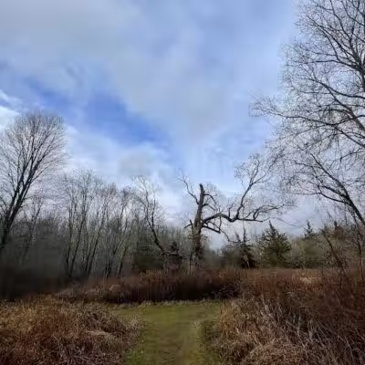 Middletown Nature Gardens - Middletown, CT
