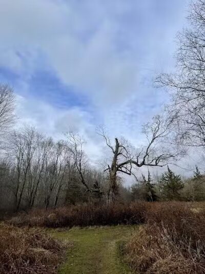 Middletown Nature Gardens - Middletown, CT