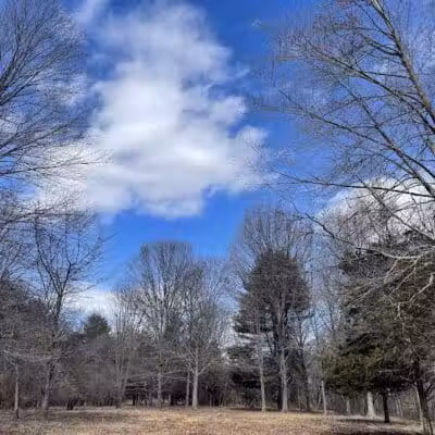 Middletown Nature Gardens - Middletown, CT