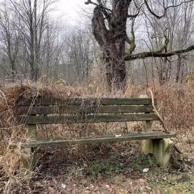 Middletown Nature Gardens - Middletown, CT