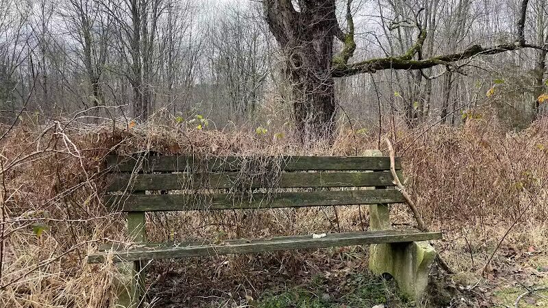 Middletown Nature Gardens - Middletown, CT