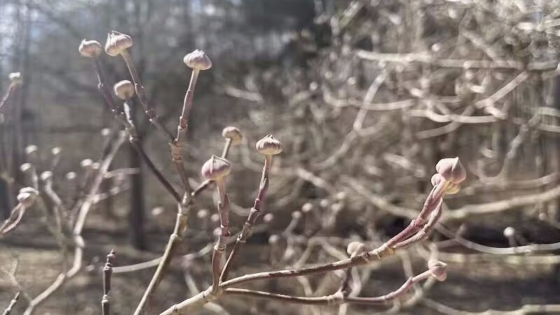 Middletown Nature Gardens - Middletown, CT
