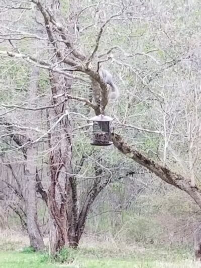 Middletown Nature Gardens - Middletown, CT