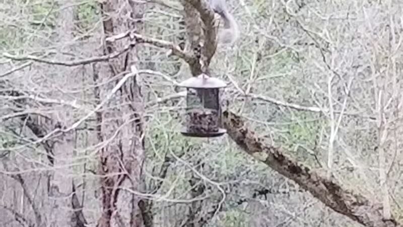 Middletown Nature Gardens - Middletown, CT