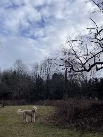 Middletown Nature Gardens - Middletown, CT