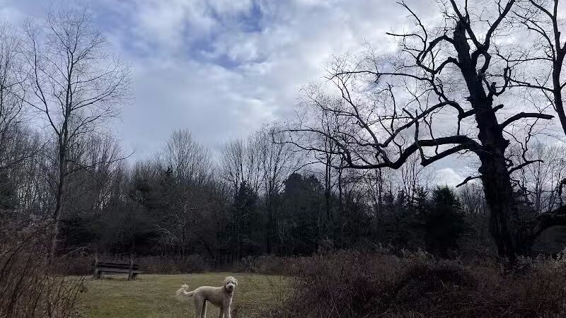 Middletown Nature Gardens - Middletown, CT