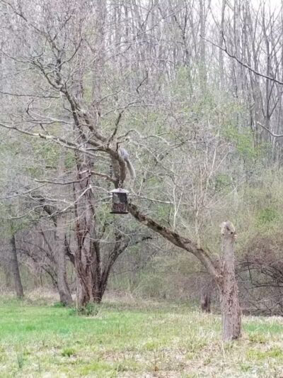 Middletown Nature Gardens - Middletown, CT