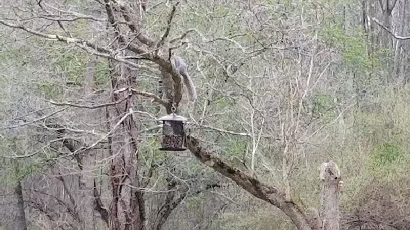 Middletown Nature Gardens - Middletown, CT