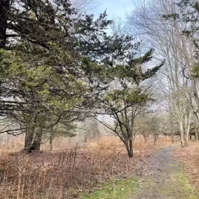 Middletown Nature Gardens - Middletown, CT