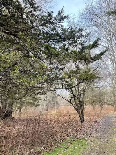 Middletown Nature Gardens - Middletown, CT