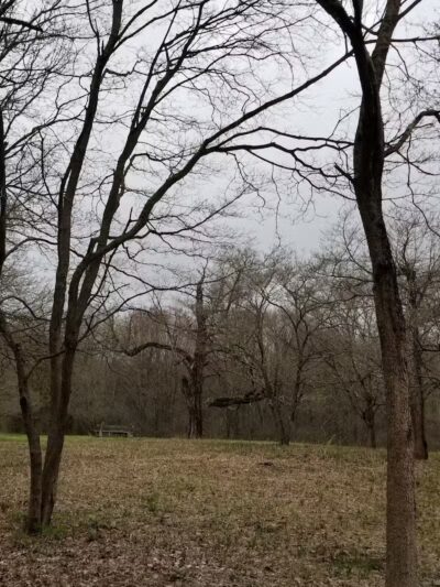 Middletown Nature Gardens - Middletown, CT