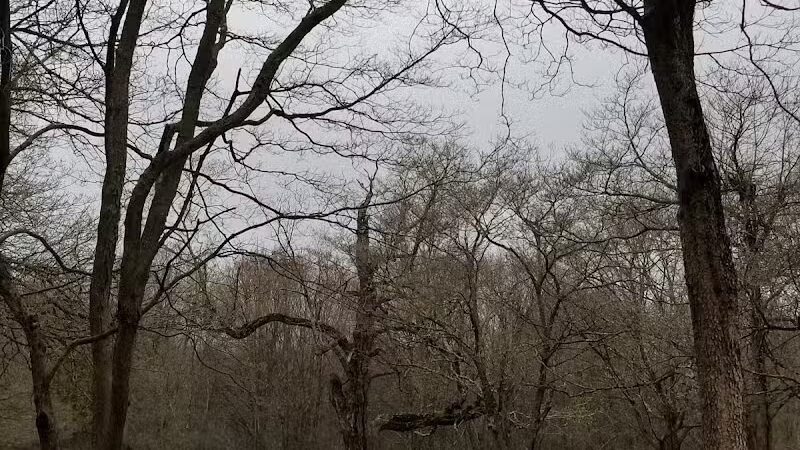 Middletown Nature Gardens - Middletown, CT