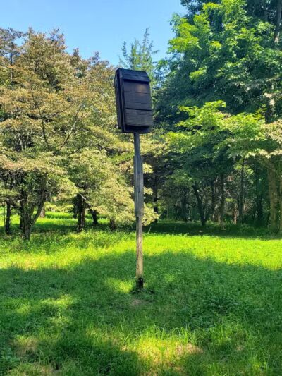 Middletown Nature Gardens - Middletown, CT