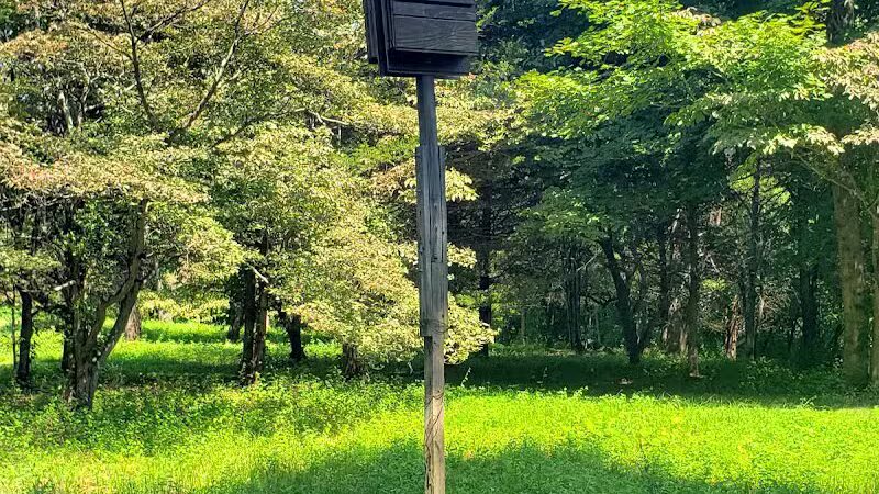 Middletown Nature Gardens - Middletown, CT