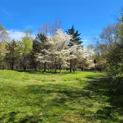 Middletown Nature Gardens - Middletown, CT