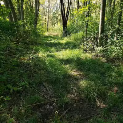 Middletown Nature Gardens - Middletown, CT