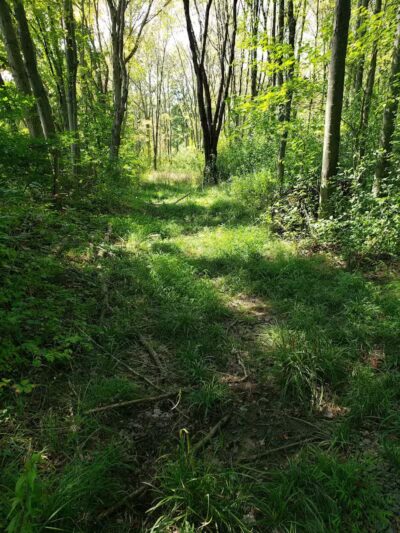 Middletown Nature Gardens - Middletown, CT