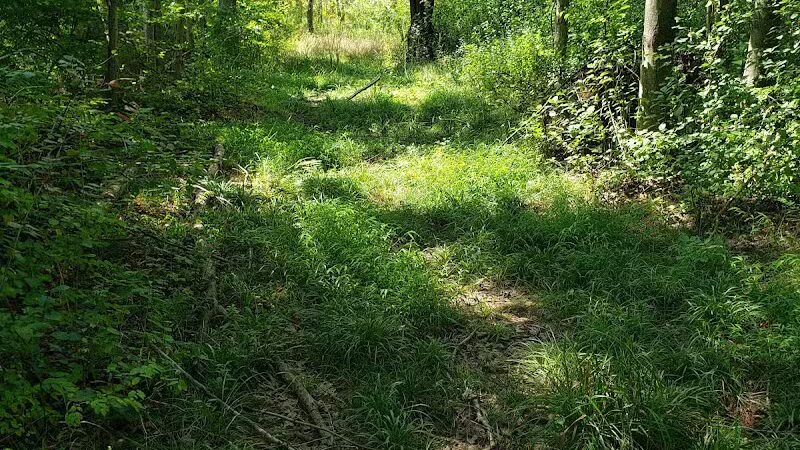 Middletown Nature Gardens - Middletown, CT