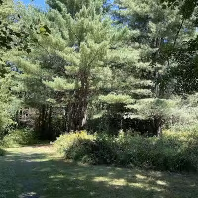 Middletown Nature Gardens - Middletown, CT