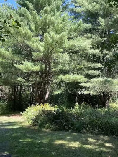 Middletown Nature Gardens - Middletown, CT