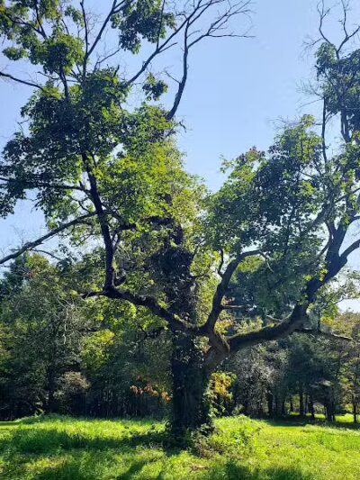 Middletown Nature Gardens - Middletown, CT