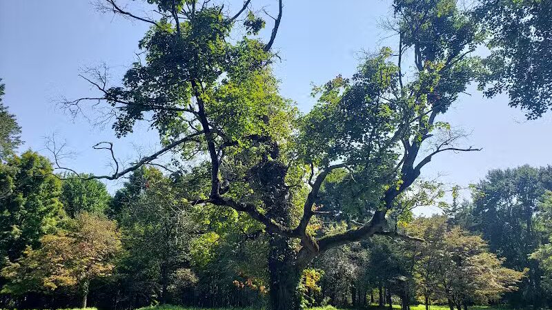 Middletown Nature Gardens - Middletown, CT