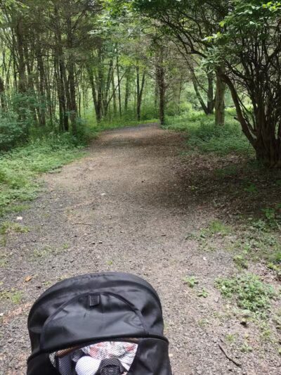 Middletown Nature Gardens - Middletown, CT