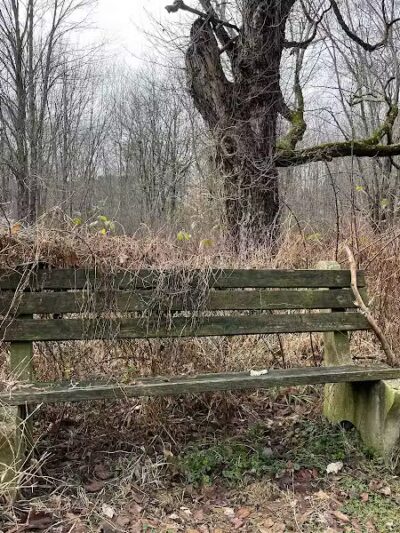 Middletown Nature Gardens - Middletown, CT