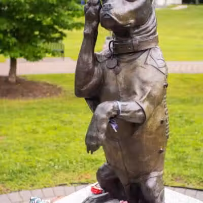 Sergeant Stubby Statue - Middletown, CT