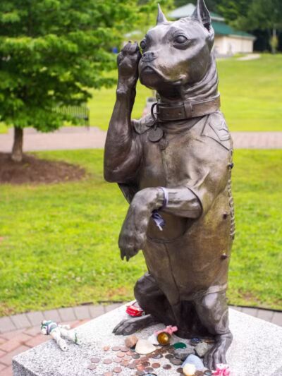 Sergeant Stubby Statue - Middletown, CT