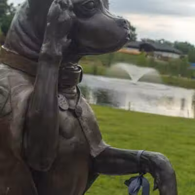Sergeant Stubby Statue - Middletown, CT